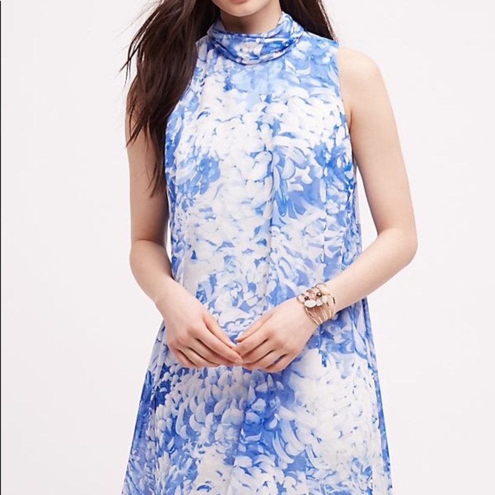 Anthropologie Collette Swing Dress Sz12 NWT